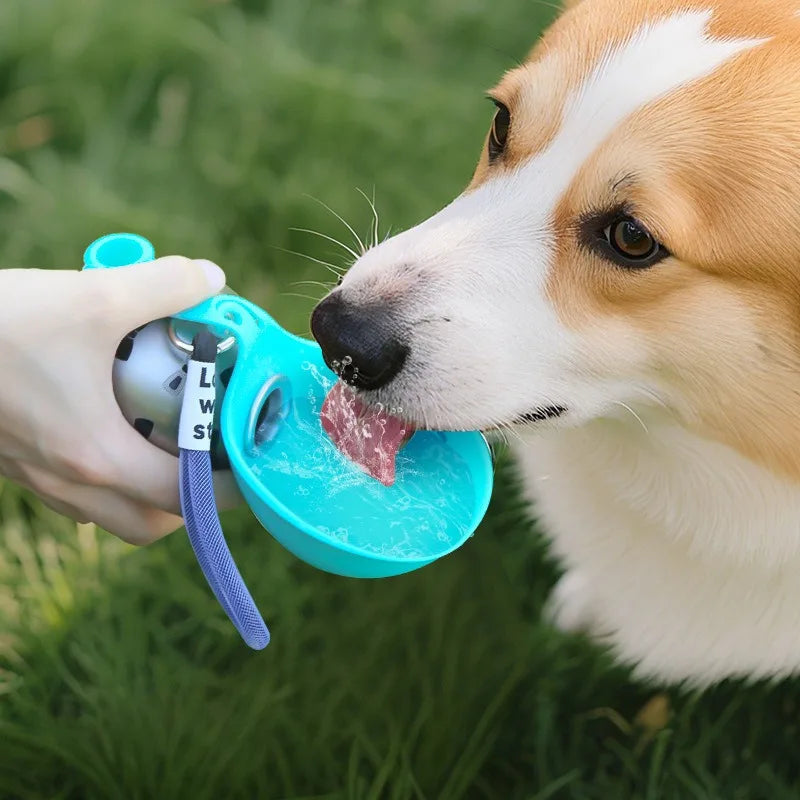ADVENTURE-READY PUP BOTTLE: HYDRATION WITH A SPLASH OF STYLE!